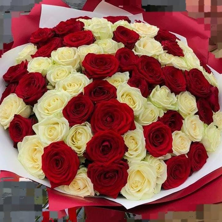 Розы микс красные+белые 75шт